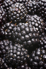 blackberry