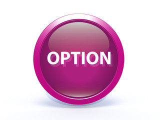 option circular icon on white background