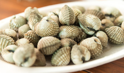 Grilled cockle shells on white plate