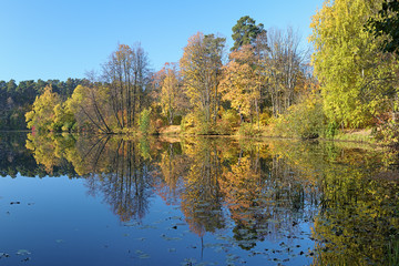 Fototapeta na wymiar Autumn landscape with trees reflecting in a lake