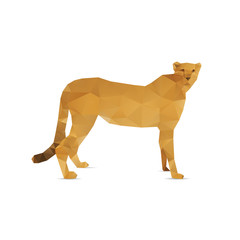 Abstract lion isolated on a white backgrounds