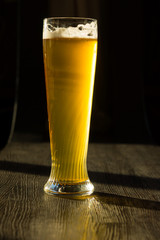 Tall Glass of Beer in Sunlight