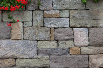 Trockenmauer mit Geranie
