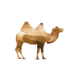 Illustration of abstract origami camel isolated on white backgro