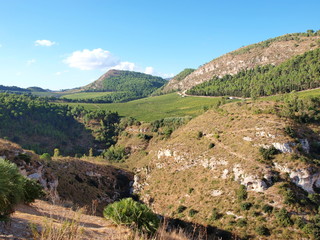 Sicilian countryside, Segesta, Sicily, Italy