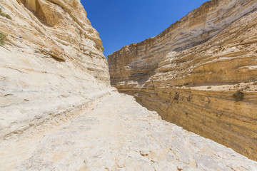 Fototapeta premium ravine in the Negev desert