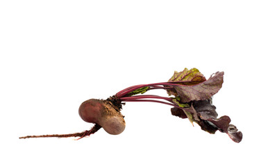 red beet with leaves on a white background