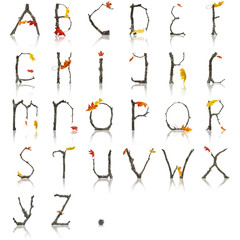 Autumn Alphabet