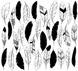 Vector Set of Stylized or Abstract Feathers and Feather Silhouet