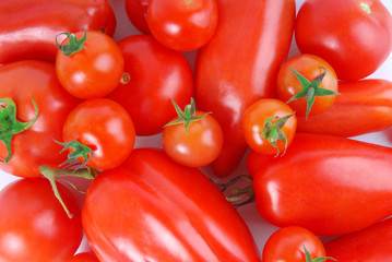 close up of the tomato