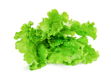 Fresh green lettuce isolated on a white