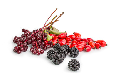 Different type of berry fruits isolated on white background