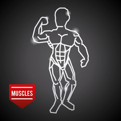 bodybuilding design