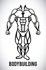 bodybuilding design