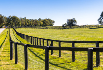 Double fence at horse farm.
