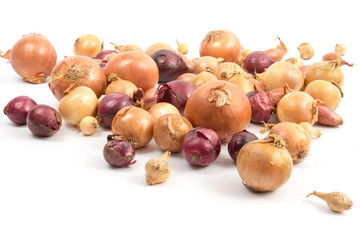 Zwiebeln und Schalotten