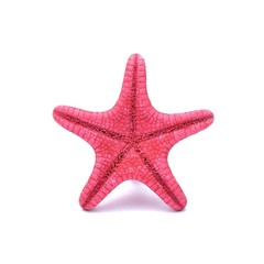 Red Starfish