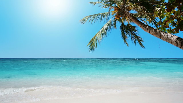 Peaceful tropical beach
