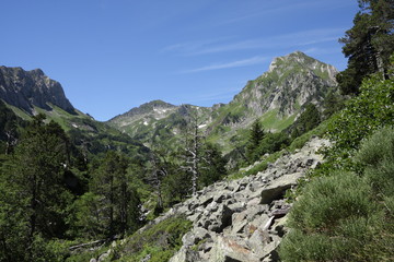 Fototapeta na wymiar Roc blanc,Pyrénées ariégeoises