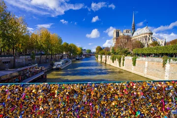 Tuinposter Notre dame de Paris vue du pont de l'archevêché © aterrom
