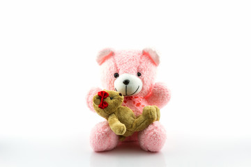 Pink and brown teddy bear.