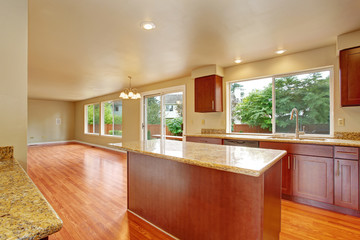 Kitchen furniture in empty house