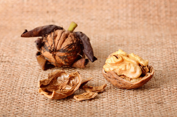 Dried walnuts on sackcloth background