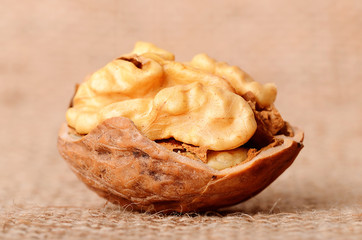 Dried walnut on sackcloth background