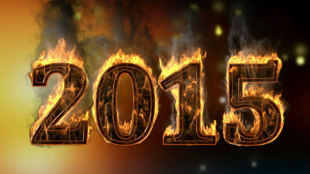 2015 burning year