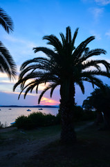 Obraz premium Beautiful sunset