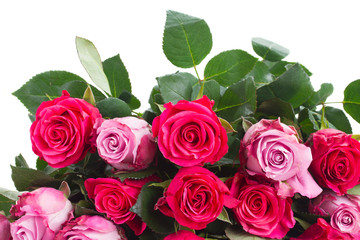 border of pink  flowers