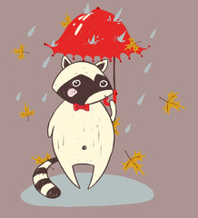cute animal raccoon autumn