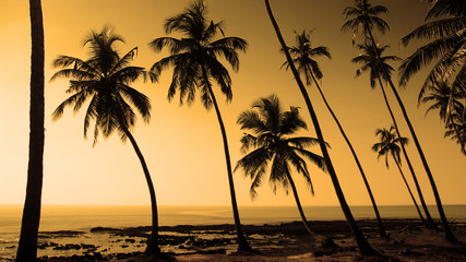 Obraz na płótnie Canvas sunset beach