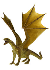 Fototapeta premium Golden Dragon