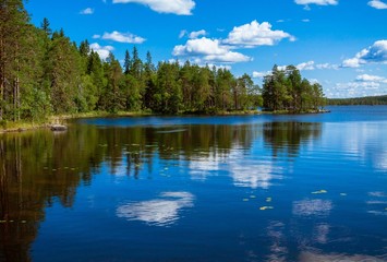 pine forest reflection in the lake