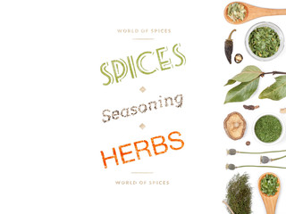 different spices and herbs on white background. top view