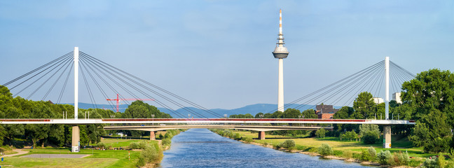 Neckarsteg mit Mannheimer Fernmeldeturm im Hintergrund - obrazy, fototapety, plakaty