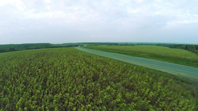 Aerial view. Winding roads, highway in autumn. Highway M7 Volga