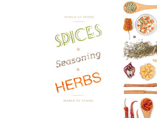 Fototapeta premium different spices and herbs on white background. top view