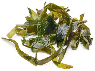 Kelp © rdnzl
