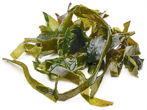 Kelp