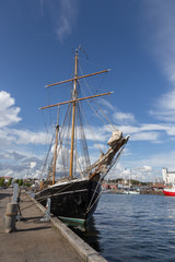 Fototapeta premium Schwarzer Segler