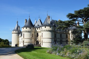 Chateau de Chaumont sur Loire - 71362141