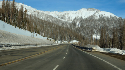 Road toward the pikes forest in the winter