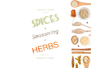 different spices and herbs on white background. top view