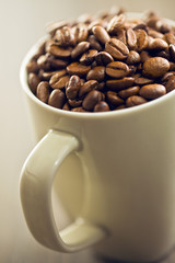 coffee beans in mug