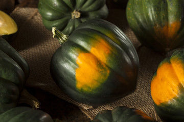 Raw Organic Green Acorn Squash