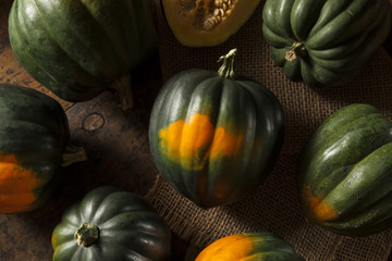 Raw Organic Green Acorn Squash