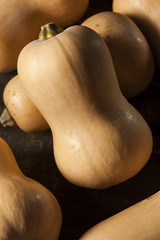 Raw Organic Butternut Squash