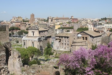 Fototapeta na wymiar Roman city Landscape